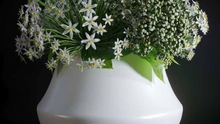 渲染模型_盆栽114