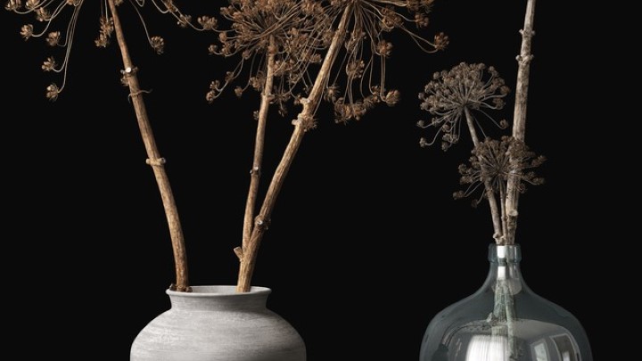 渲染模型_盆栽115