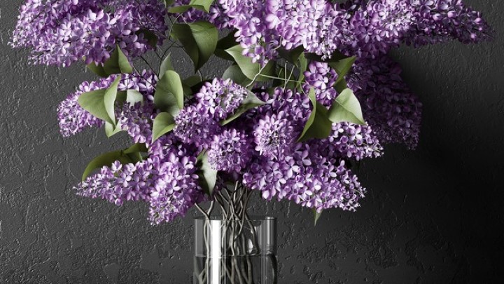 渲染模型_盆栽116