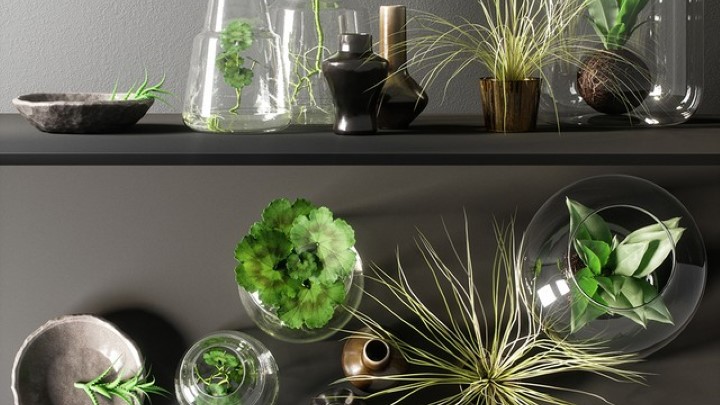 渲染模型_盆栽119