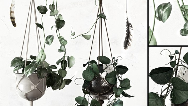 渲染模型_盆栽131