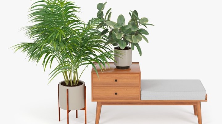 渲染模型_盆栽135