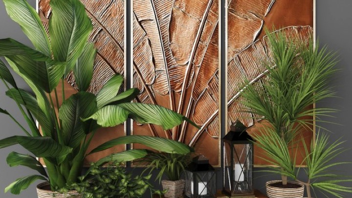 渲染模型_盆栽148