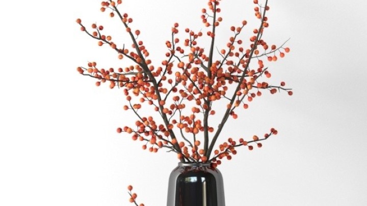 渲染模型_盆栽149