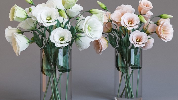 渲染模型_盆栽154