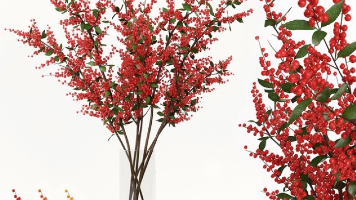 渲染模型_盆栽155