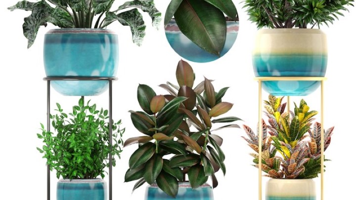 渲染模型_盆栽157