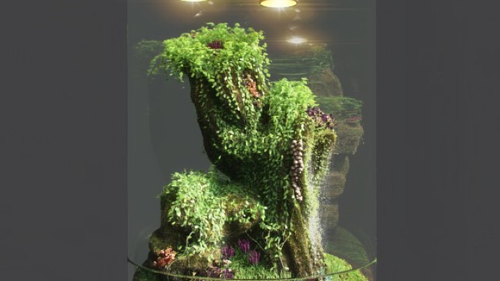 渲染模型_盆栽163