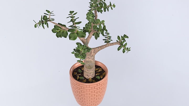 渲染模型_盆栽171