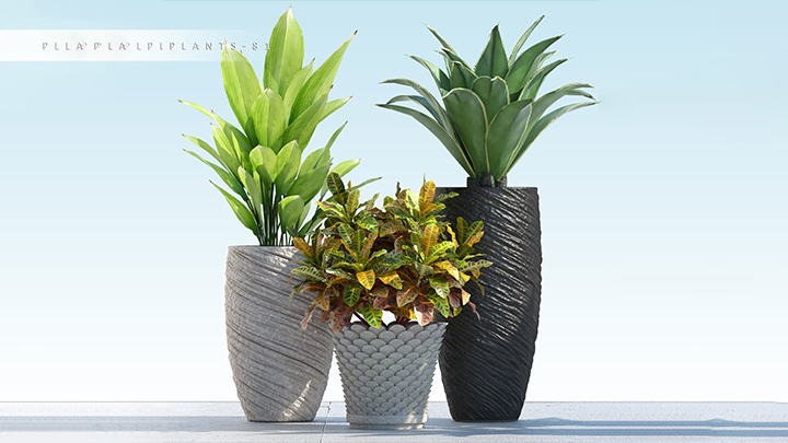 渲染模型_盆栽177