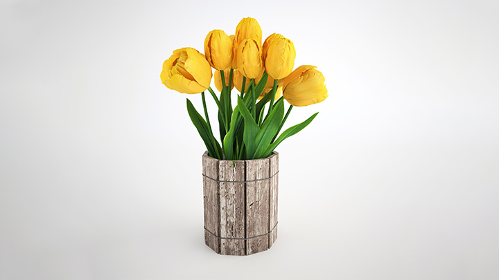 渲染模型_盆栽181