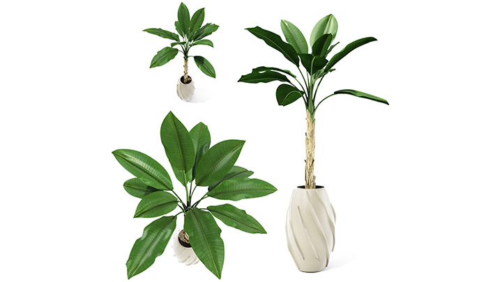 渲染模型_盆栽188