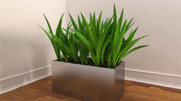 渲染模型_绿植盆栽001