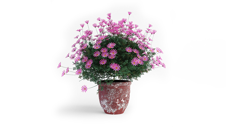 渲染模型_花盆008