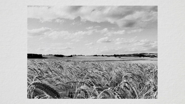 渲染模型_装饰画040