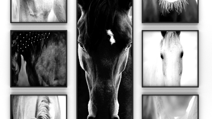 渲染模型_装饰画046