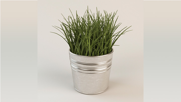 渲染模型_青草001