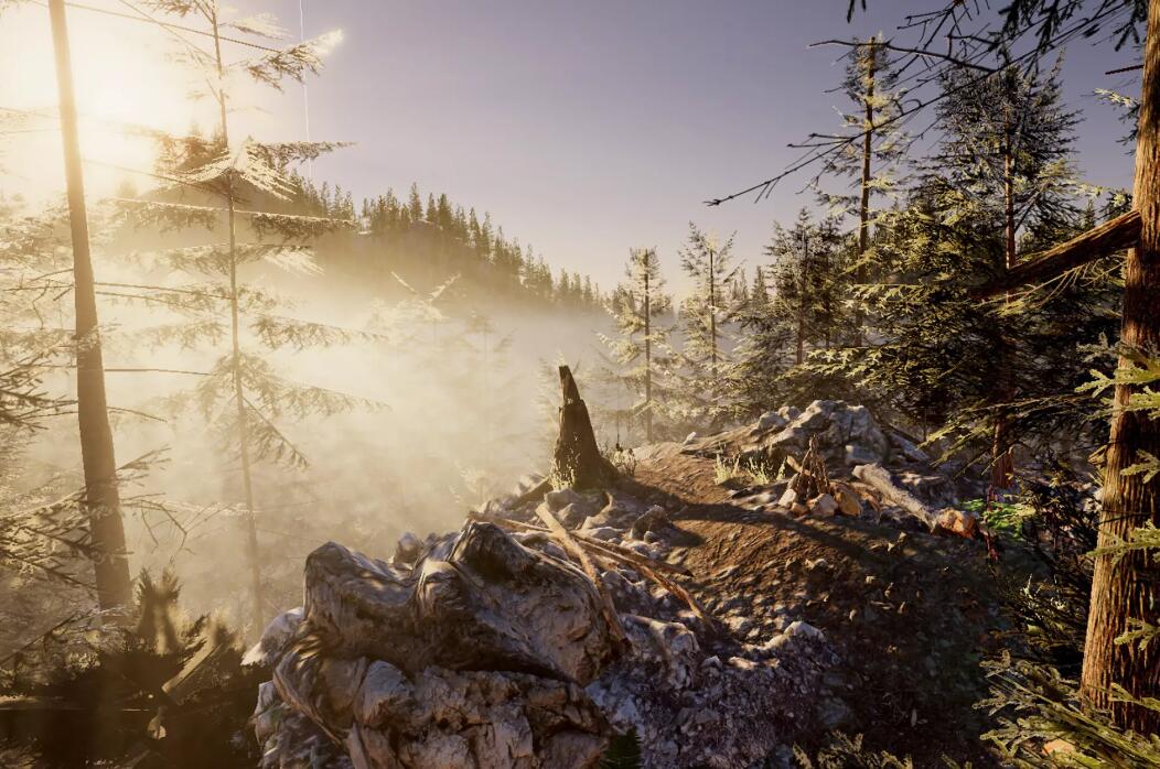 Mountain Forest Pack v1.5.3森林