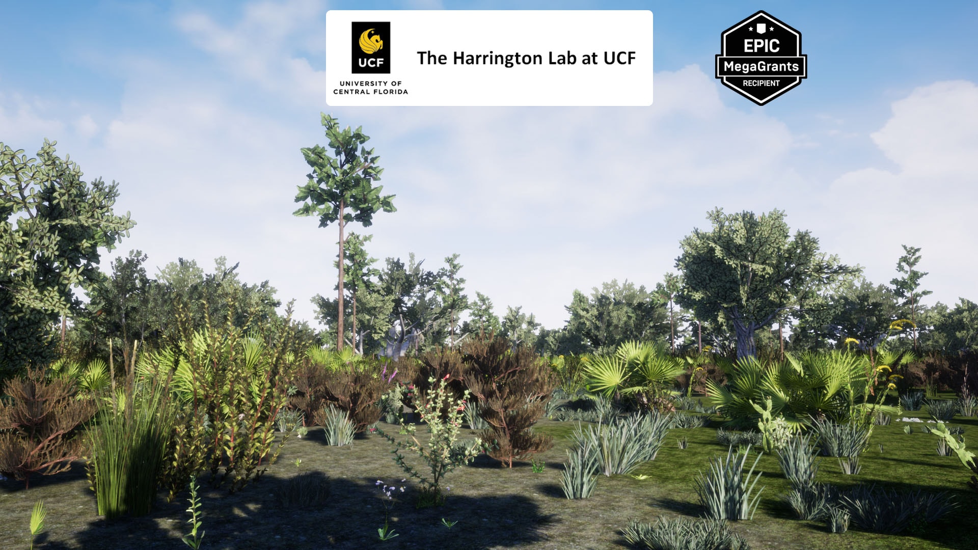 Scrub Habitat Brush 5.3灌木