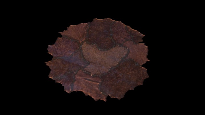 UE项目资源_模型资源_兽皮005