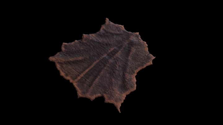 UE项目资源_模型资源_兽皮006