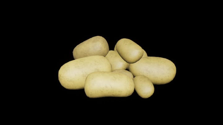 UE项目资源_模型资源_土豆005