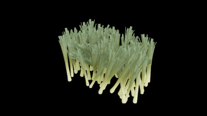 UE项目资源_模型资源_大葱002