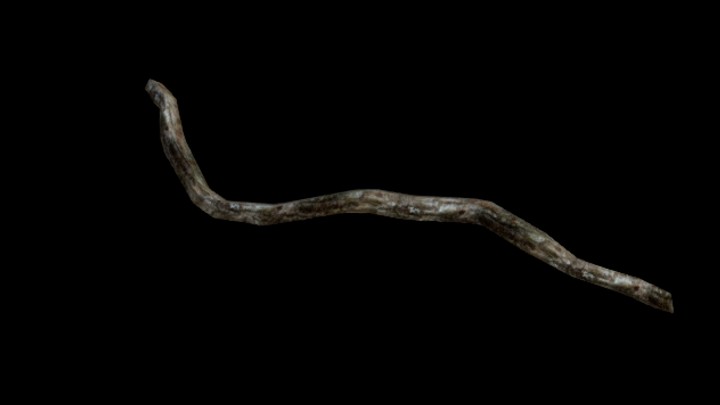 UE项目资源_模型资源_干树枝003