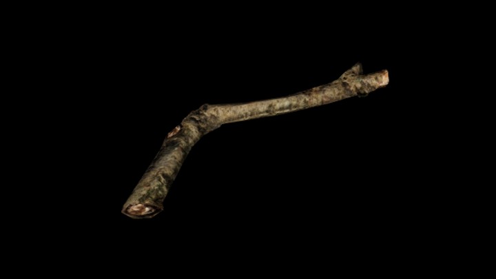 UE项目资源_模型资源_断枝009