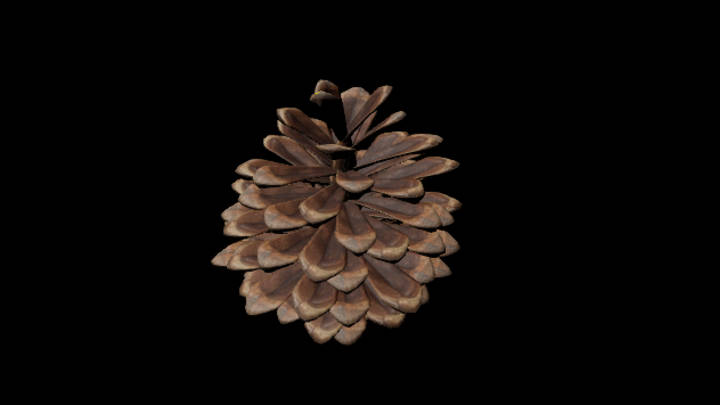 UE项目资源_模型资源_松子001