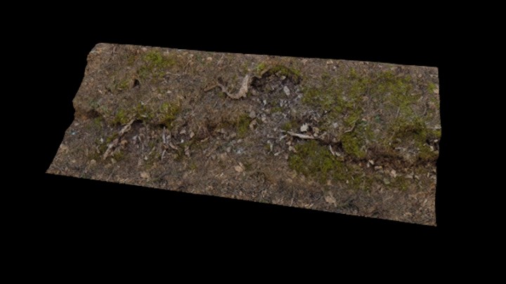 UE项目资源_模型资源_林地021