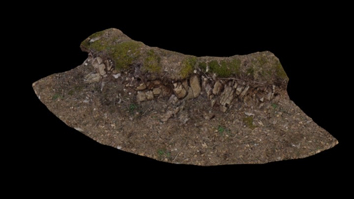 UE项目资源_模型资源_林地025