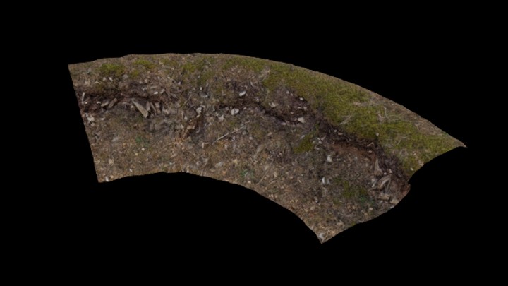 UE项目资源_模型资源_林地027