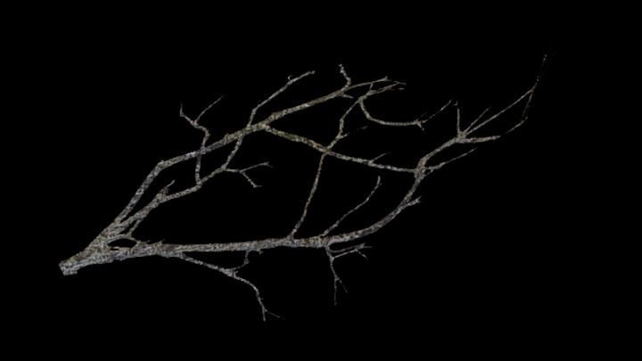 UE项目资源_模型资源_枯枝013