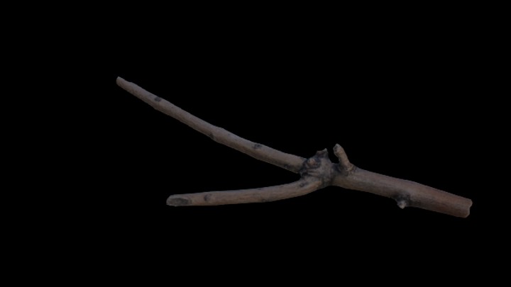 UE项目资源_模型资源_枯树枝013