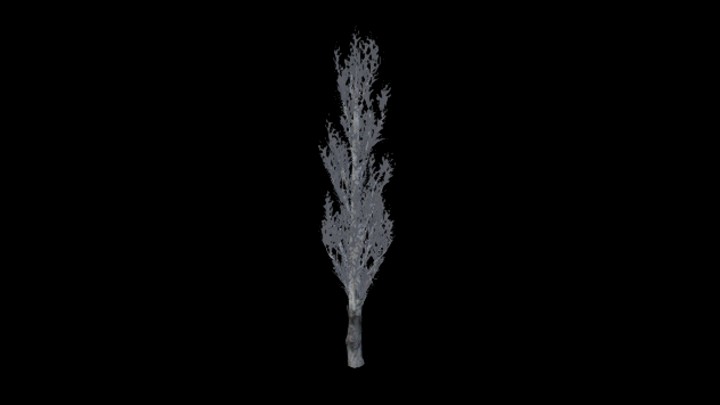 UE项目资源_模型资源_树470