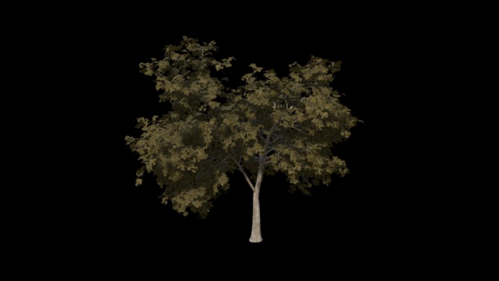 UE项目资源_模型资源_树487