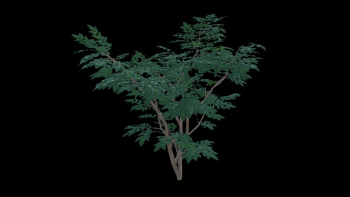 UE项目资源_模型资源_树519