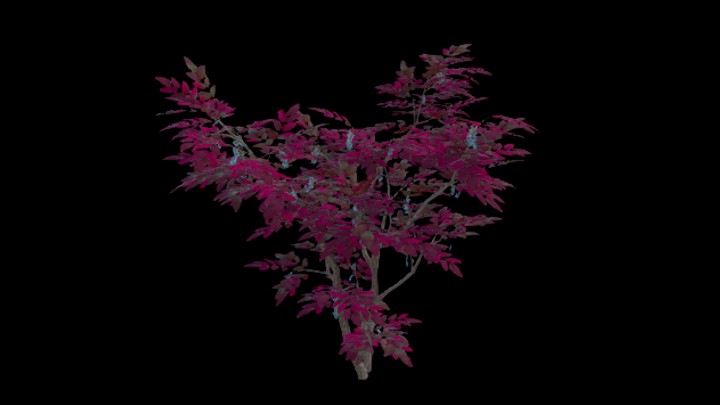 UE项目资源_模型资源_树520