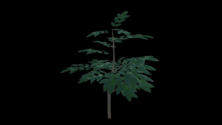 UE项目资源_模型资源_树531