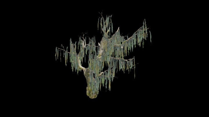 UE项目资源_模型资源_树541