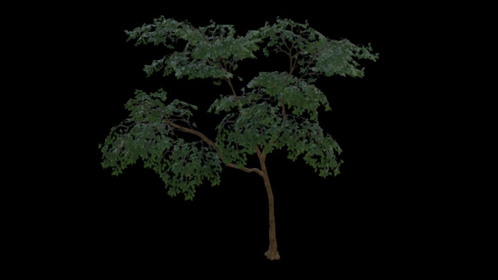 UE项目资源_模型资源_树551