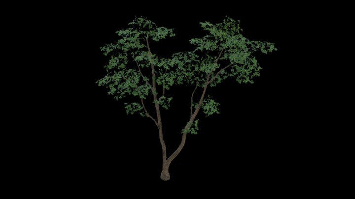 UE项目资源_模型资源_树558