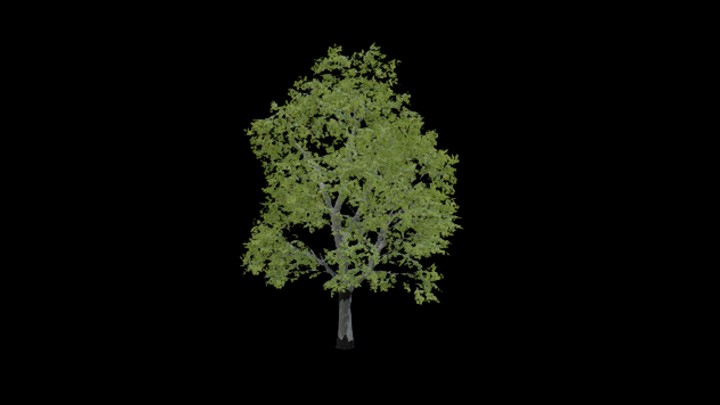 UE项目资源_模型资源_树560