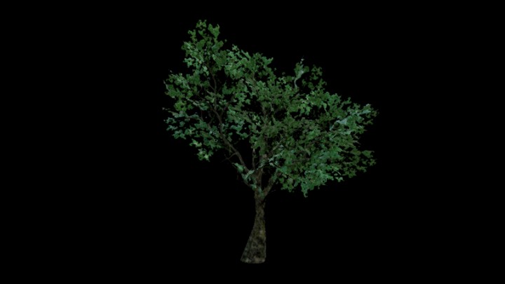 UE项目资源_模型资源_树573