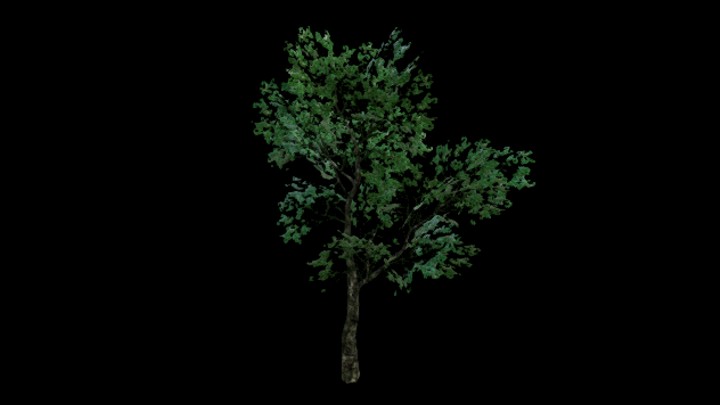 UE项目资源_模型资源_树574