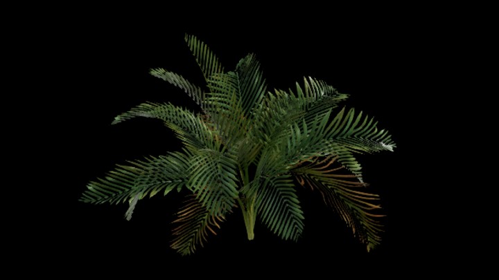 UE项目资源_模型资源_树575