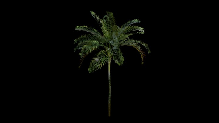 UE项目资源_模型资源_树576