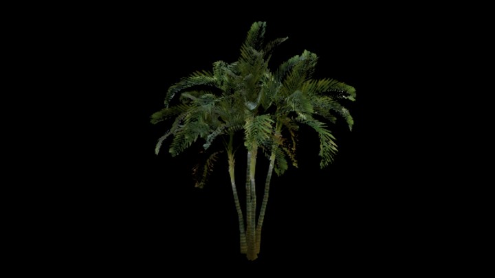 UE项目资源_模型资源_树577