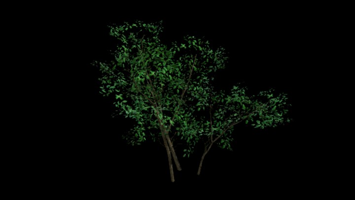 UE项目资源_模型资源_树583